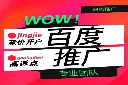 SEM广告投放案例：打造品牌影响力